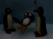 Pingu Seasons 1 to 6